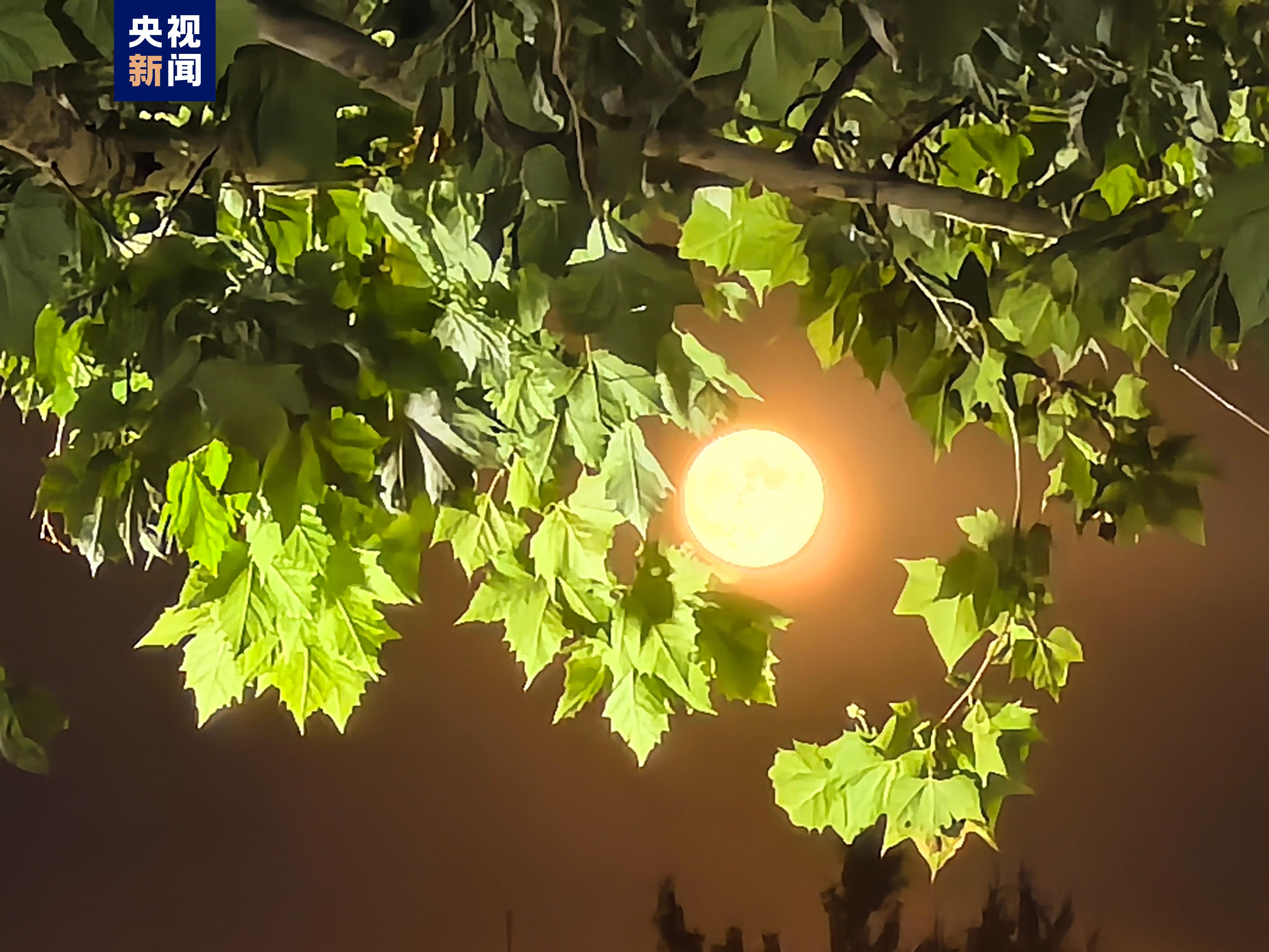 嘿，抬头！“超级月亮”拍了拍你
