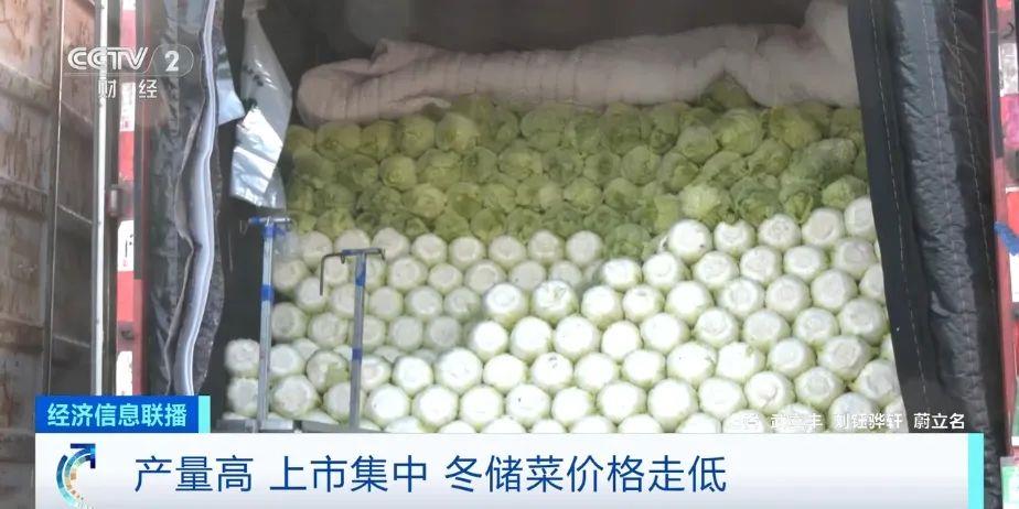 0.2元一斤！这才是真正的“白菜价”→