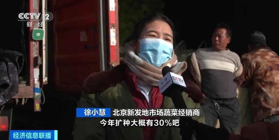 0.2元一斤！这才是真正的“白菜价”→