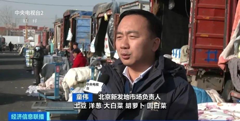 0.2元一斤！这才是真正的“白菜价”→