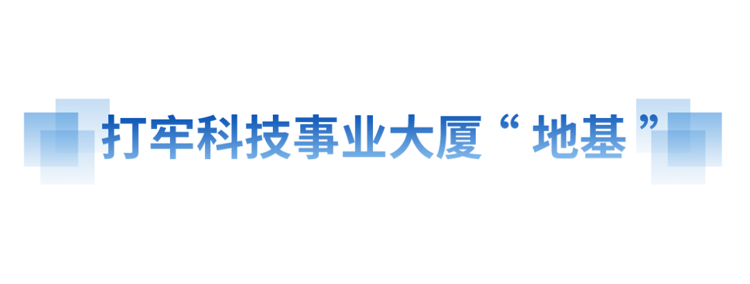 奮進(jìn)的春天丨向“新”而行 提“質(zhì)”而上