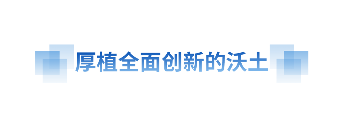 奮進(jìn)的春天丨向“新”而行 提“質(zhì)”而上