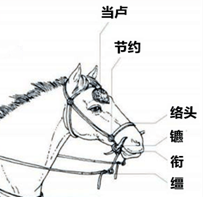 文博日历丨发现一只2000多年前的“盲盒手办”（西周隐藏款）