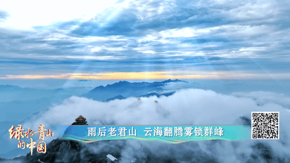 綠水青山的中國丨萬鷺舞云端！河南欒川的生態蝶變