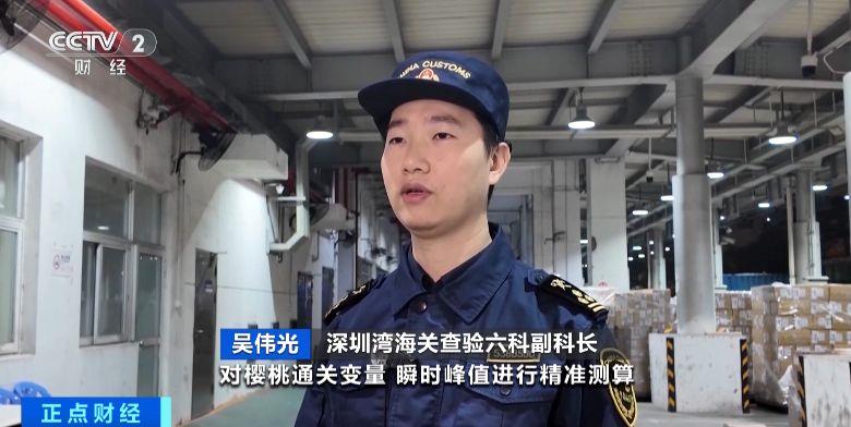 今年“智利樱桃季”正式启幕 首批海运智利樱桃抵达深圳