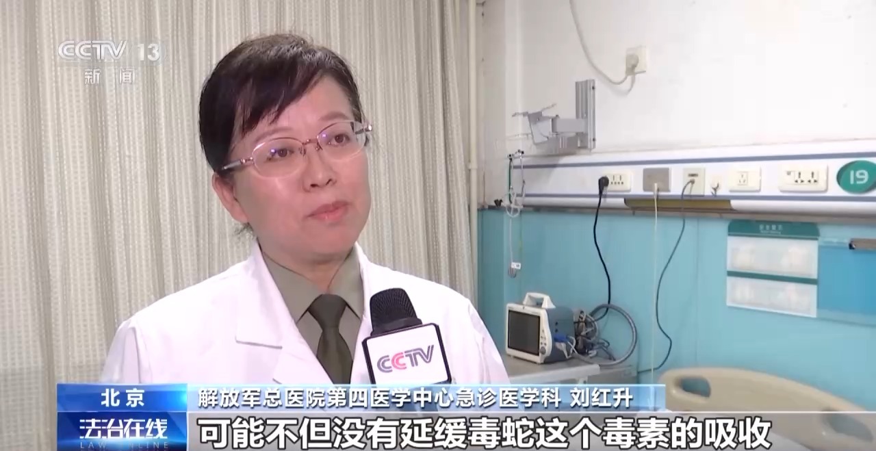 夏季“蛇咬伤”频发 这些常见操作可致截肢！医生提醒→