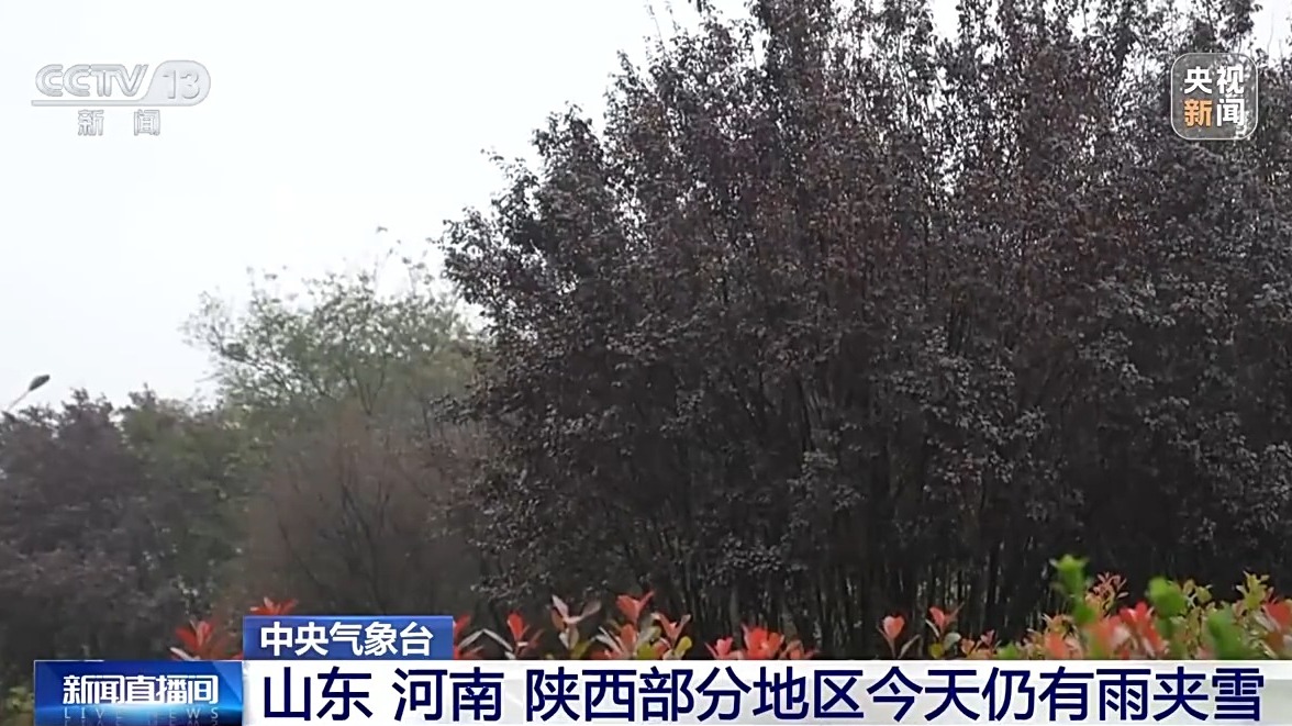 受冷空气影响 北方大部将维持低温状态 南方今起开启降温模式