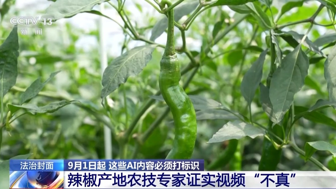 9月1日起 这些AI内容必须打标识