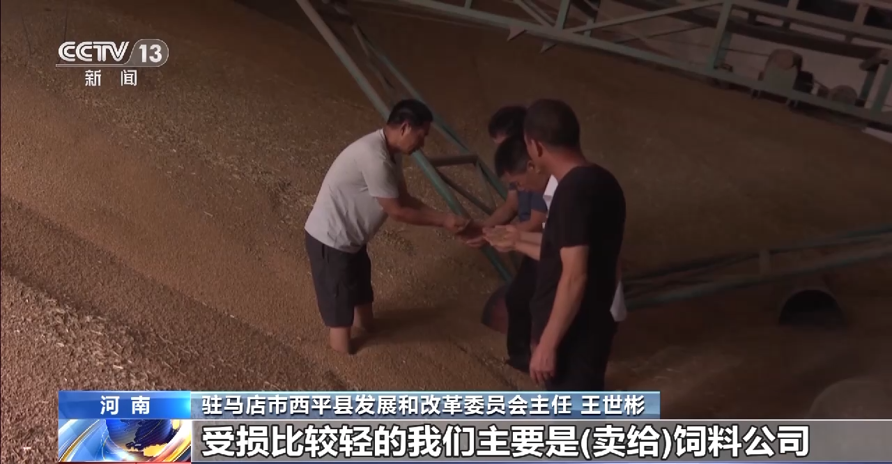 央媒观豫丨政策兜底 河南分类分级收购受损小麦
