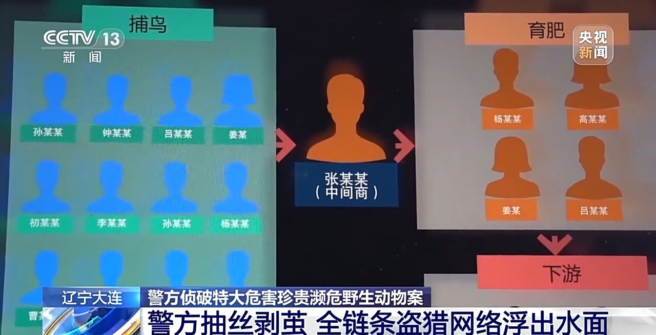 涉案金额达3900余万元 一张快递单引出野生鸟类盗猎大案