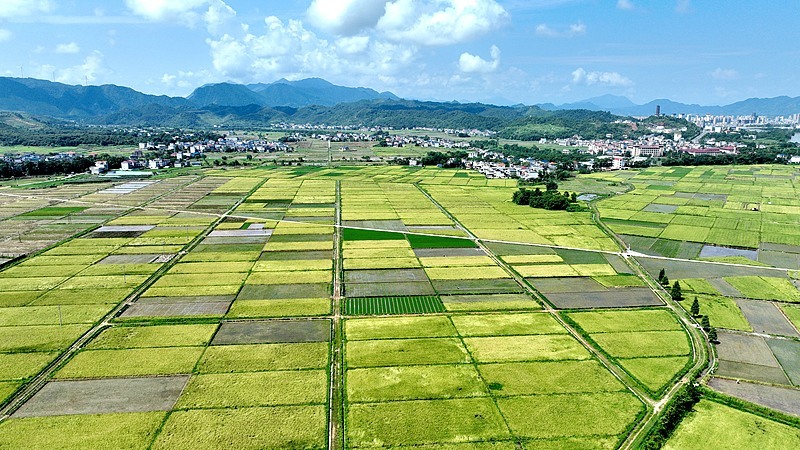 6号台风“韦帕”要来了 未来或登陆我国