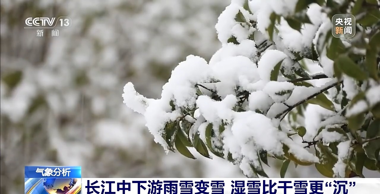 含水量高、积雪较沉 专家解析长江中下游此轮雨雪特点