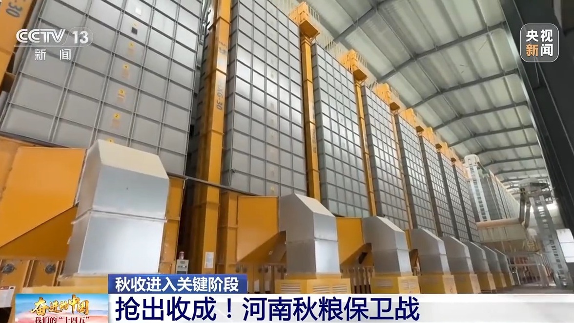 一刻鐘空中往返運玉米 無人機(jī)助力“中原糧倉”全力搶收