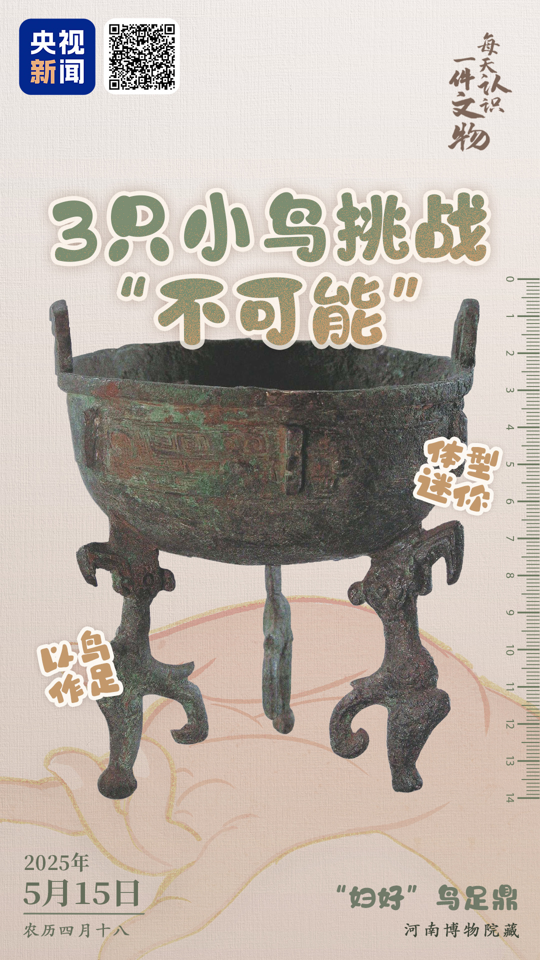央媒觀豫丨三只小鳥挑戰(zhàn)“不可能完成的任務(wù)”