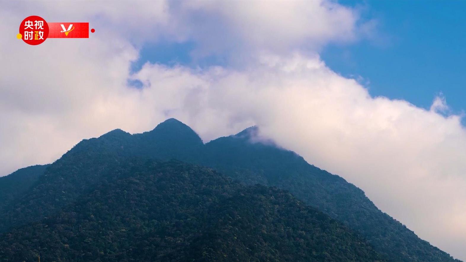 习近平海南行丨走进海南热带雨林国家公园五指山片区