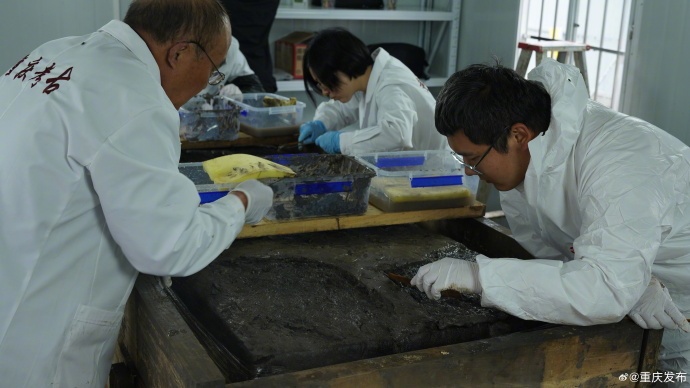 重庆发现明确纪年西汉早期墓葬 出土珍贵文物600余件
