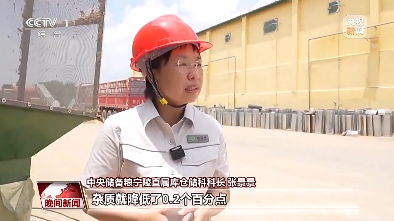 收购热度不断攀升 小麦如何颗粒归仓？