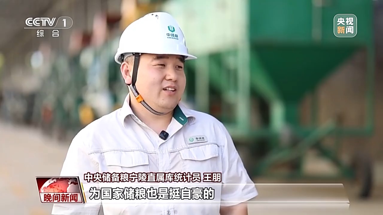收购热度不断攀升 小麦如何颗粒归仓？