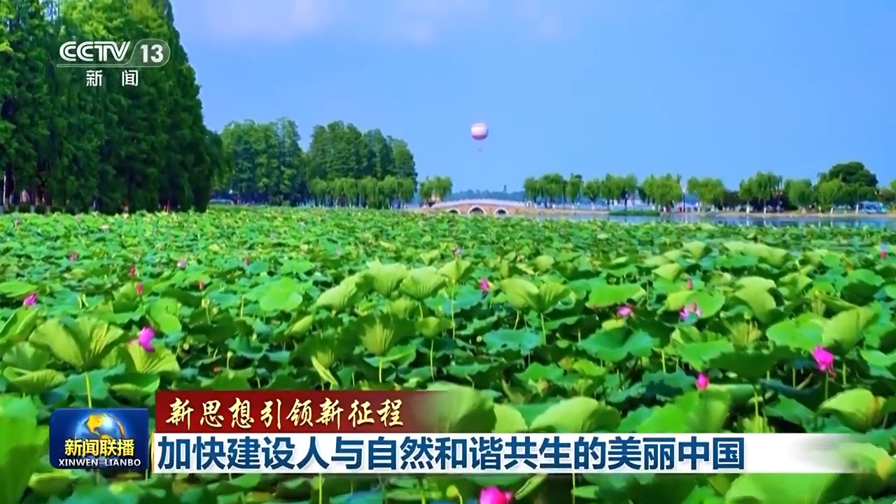 点击查看完整视频
