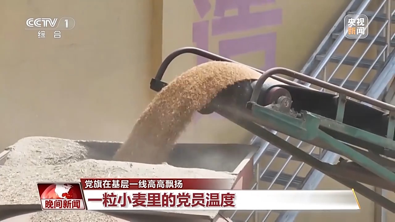 收购热度不断攀升 小麦如何颗粒归仓？