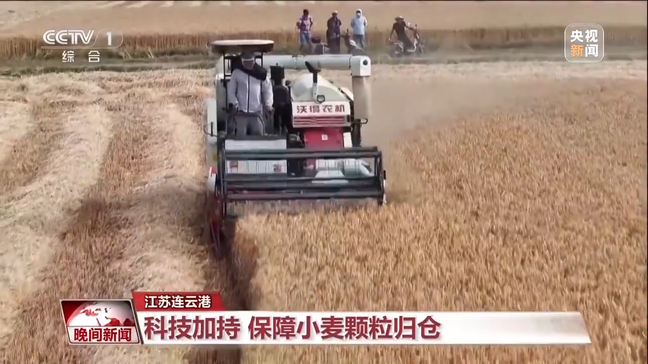 丰收有底气!全国麦收进度已过六成