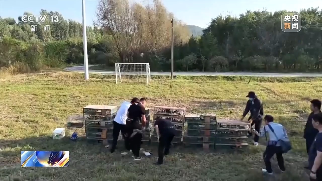 涉案金额达3900余万元 一张快递单引出野生鸟类盗猎大案