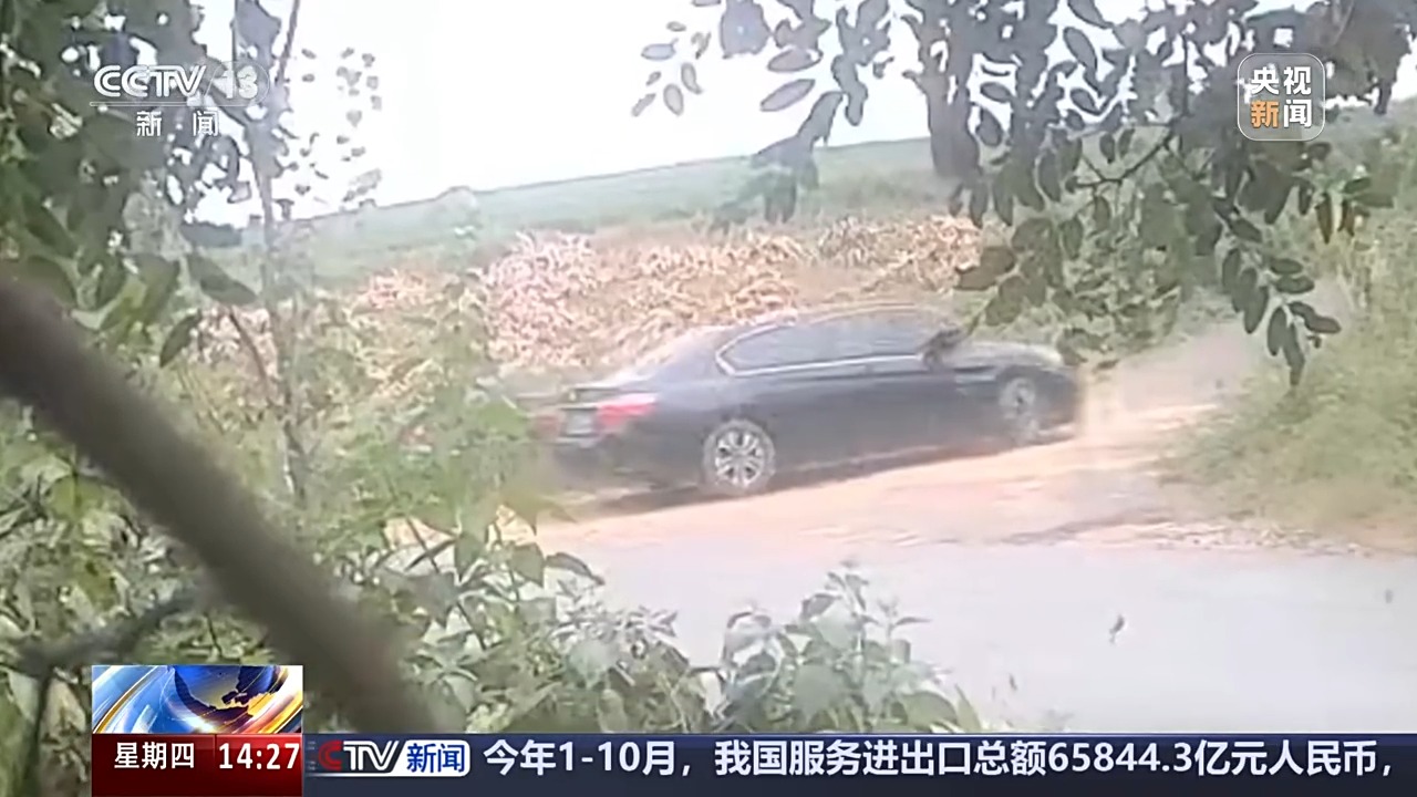 涉案金额达3900余万元 一张快递单引出野生鸟类盗猎大案