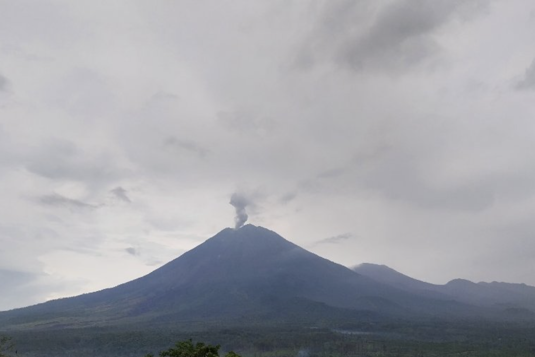 印尼塞梅鲁火山喷发 火山灰柱高达800米