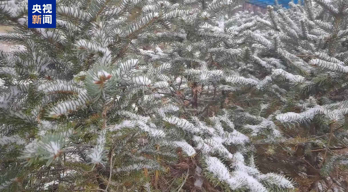 河北大范围雨雪来访 张家口北部已出现降雪天气