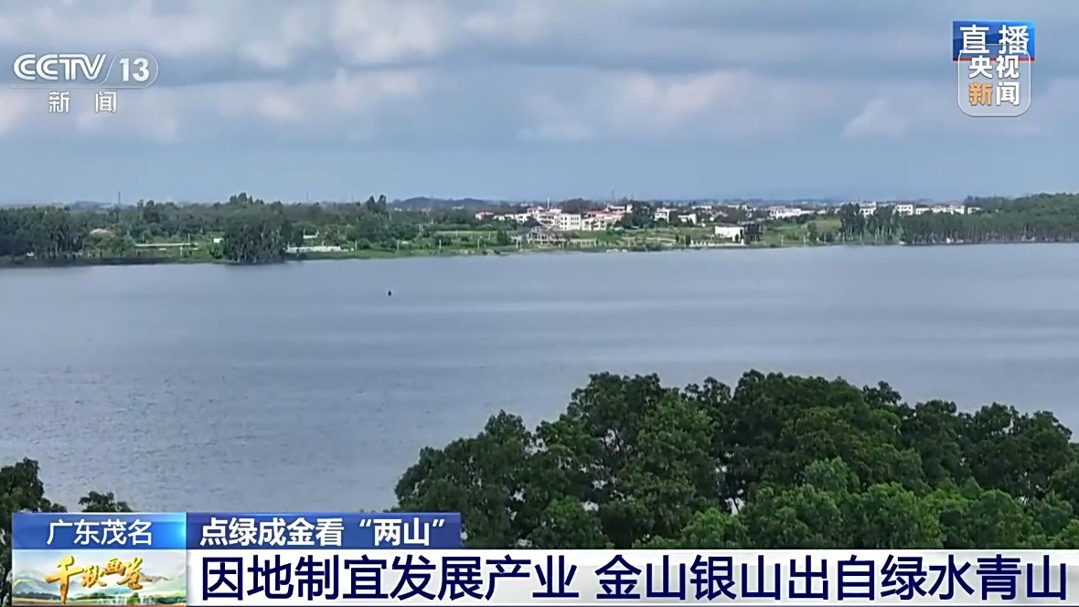 点击查看完整视频