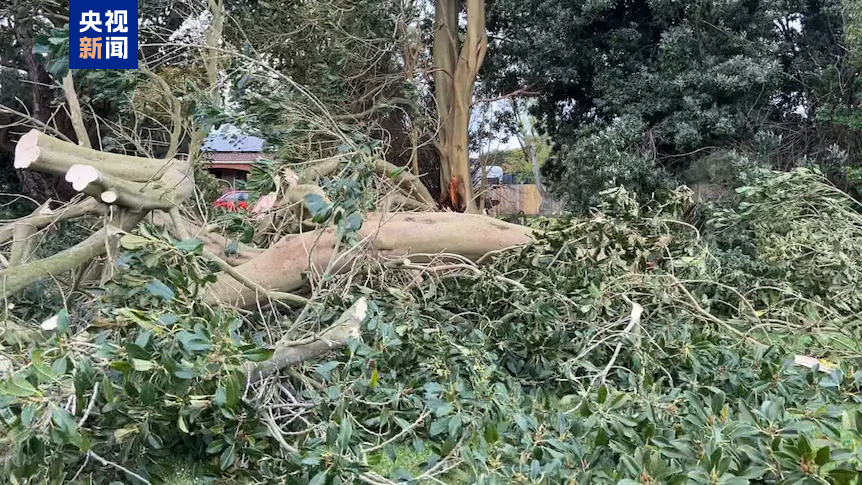 澳大利亚东海岸遭遇高温与狂风双重极端天气