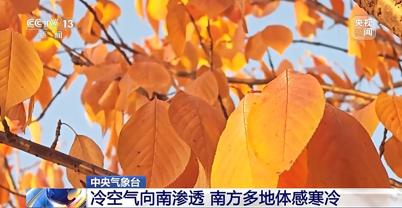 南方小伙伴注意保暖！今明两天多地气温将创下半年新低