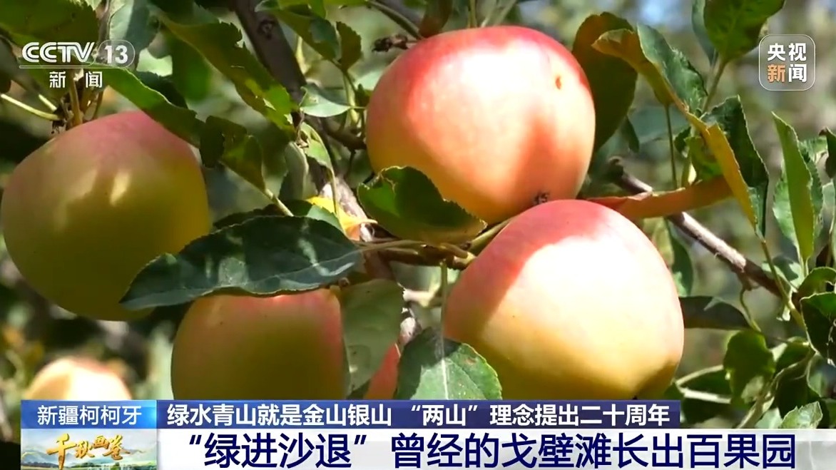 点击查看完整视频