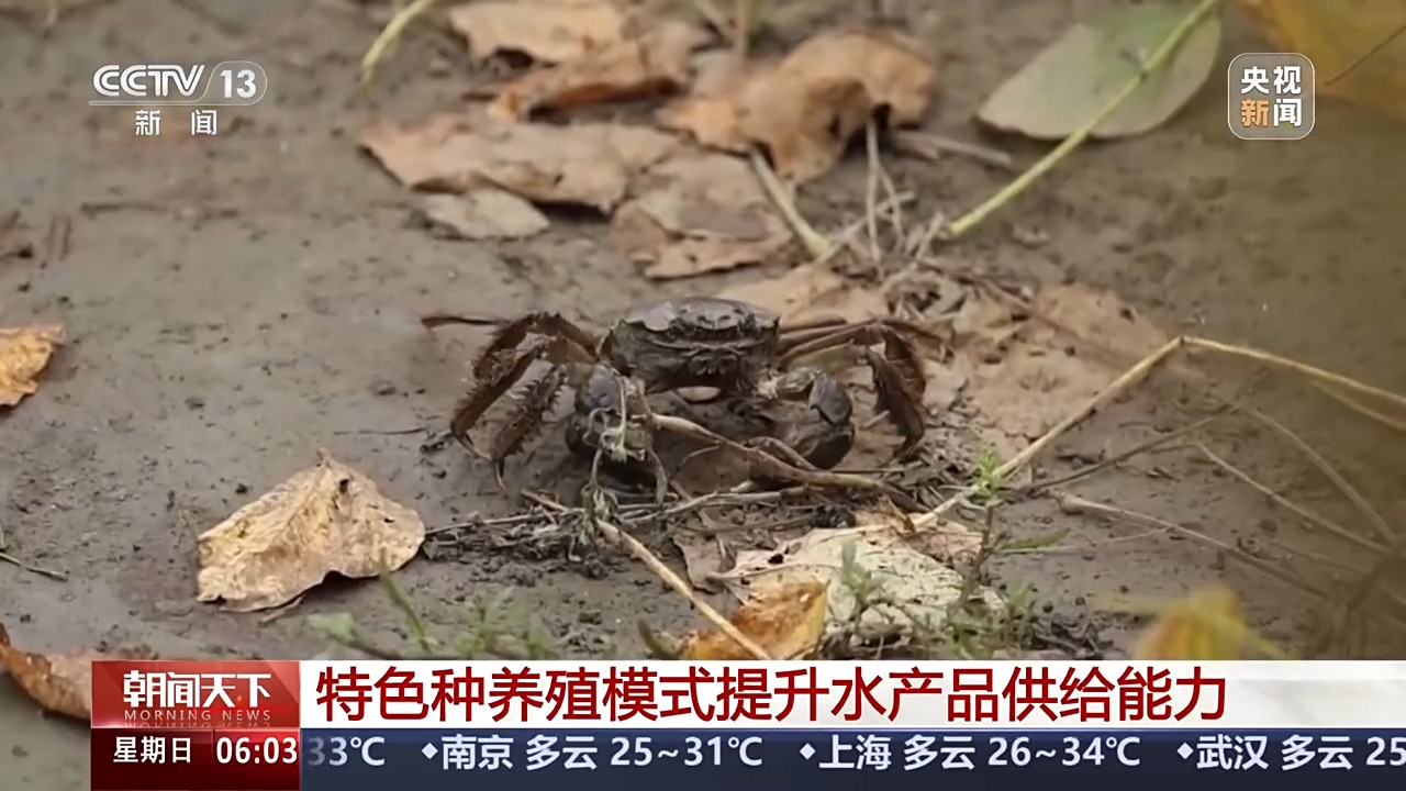 秋收进度近三成！这些农业新型“黑科技”助力作物颗粒归仓