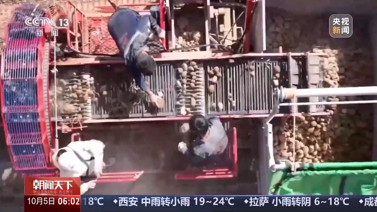 秋收进度近三成！这些农业新型“黑科技”助力作物颗粒归仓