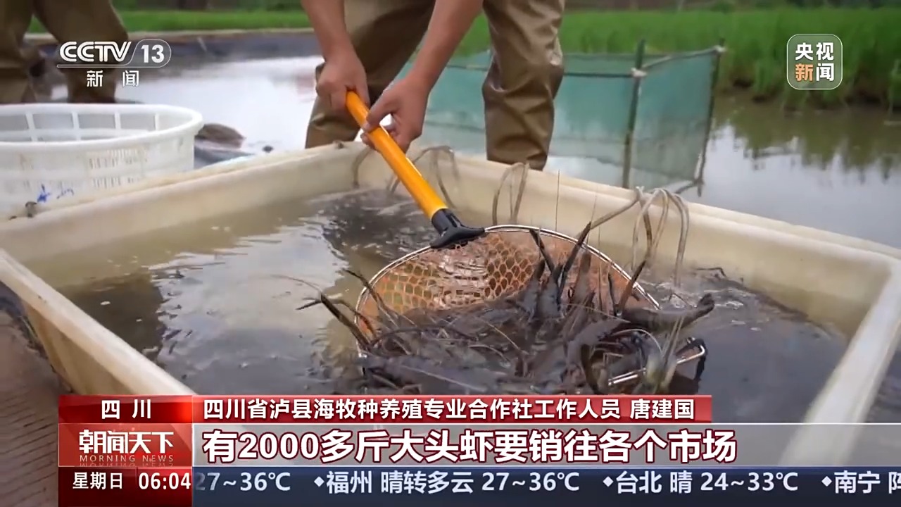 秋收进度近三成！这些农业新型“黑科技”助力作物颗粒归仓