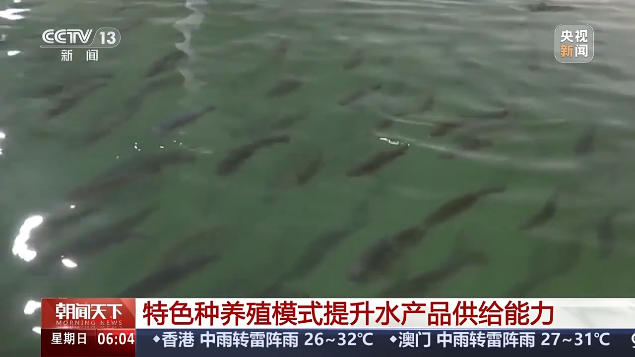 秋收进度近三成！这些农业新型“黑科技”助力作物颗粒归仓