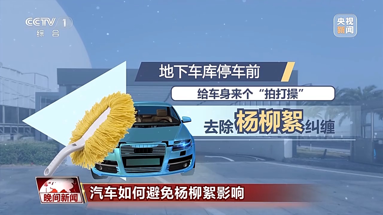 如何让汽车远离杨柳絮困扰？给你支几招