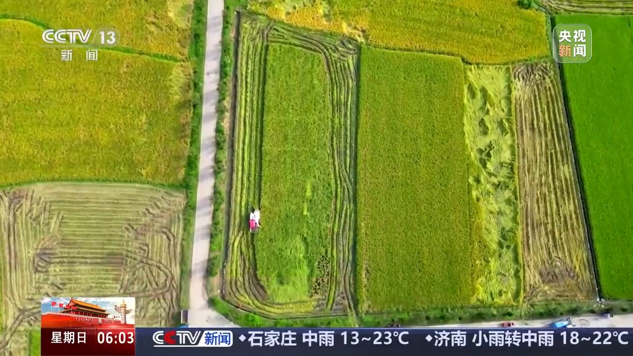 秋收进度近三成！这些农业新型“黑科技”助力作物颗粒归仓