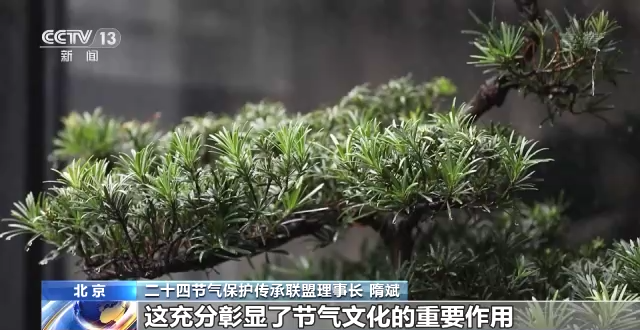 【网络中国节·谷雨】4月20日10时24分“谷雨”：看百谷丛生，听春雨连连