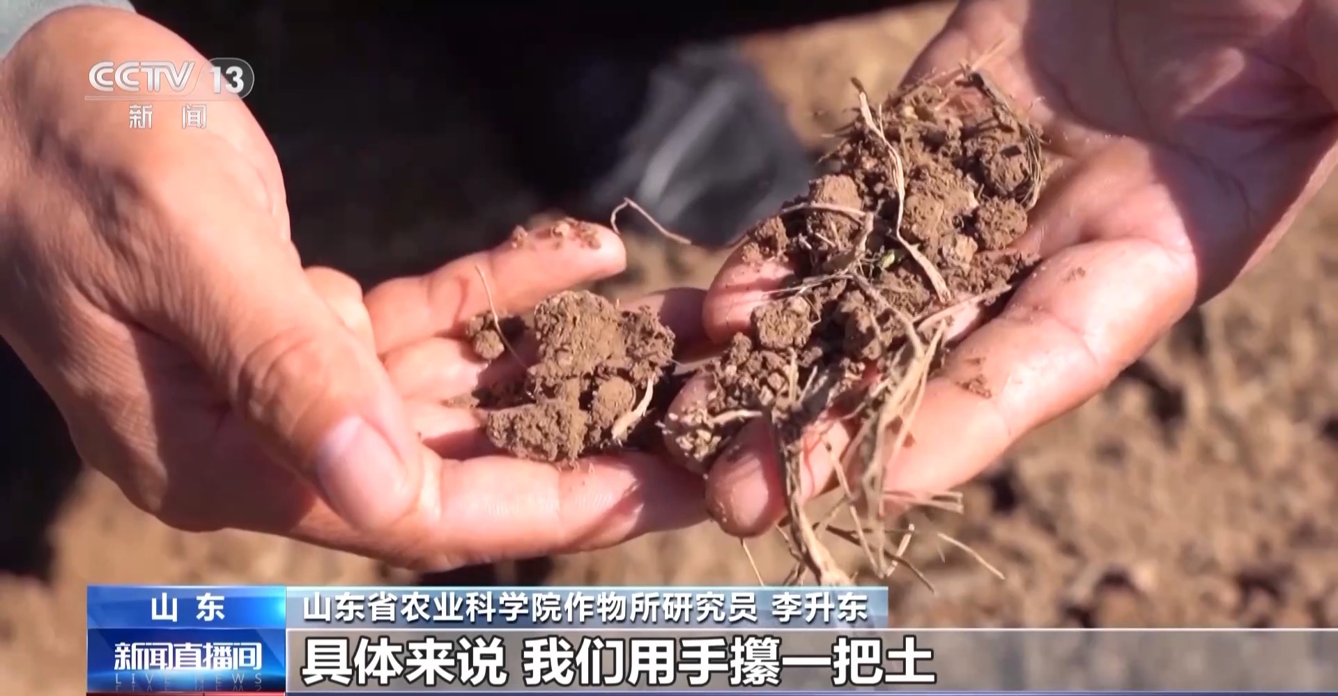 秋收秋种遇上连阴雨 晚播小麦有技巧 专家支招→