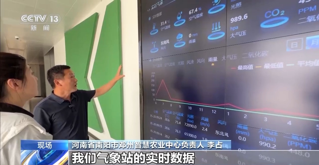 大數(shù)據(jù)預警+大模型監(jiān)測 河南“三夏”麥收智能化升級