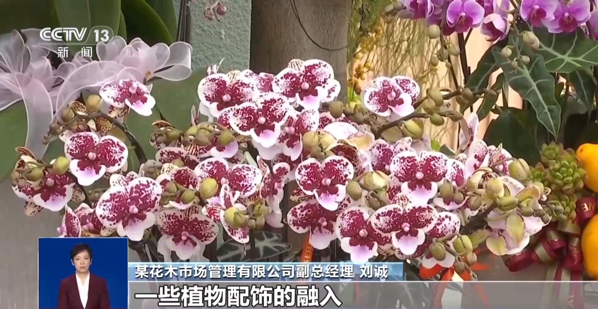 新年将至 你家的年夜饭准备好了吗？“厨师上门”服务了解一下
