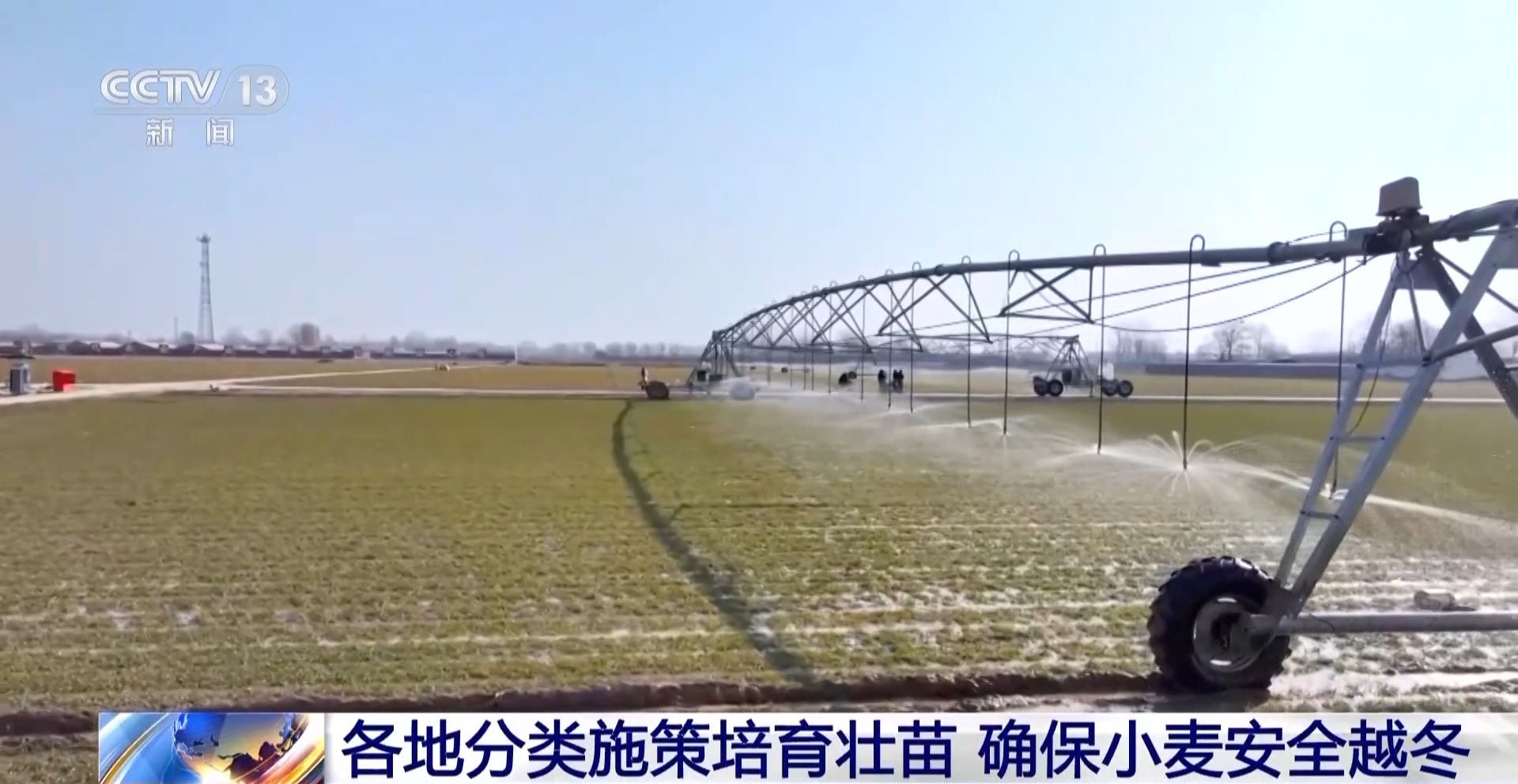 我国粮食主产区秋冬种基本结束 田管有序展开