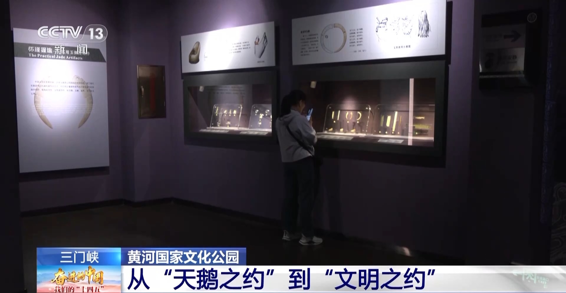首批大天鵝已抵達！來三門峽黃河濕地赴一場生態(tài)與文化之約