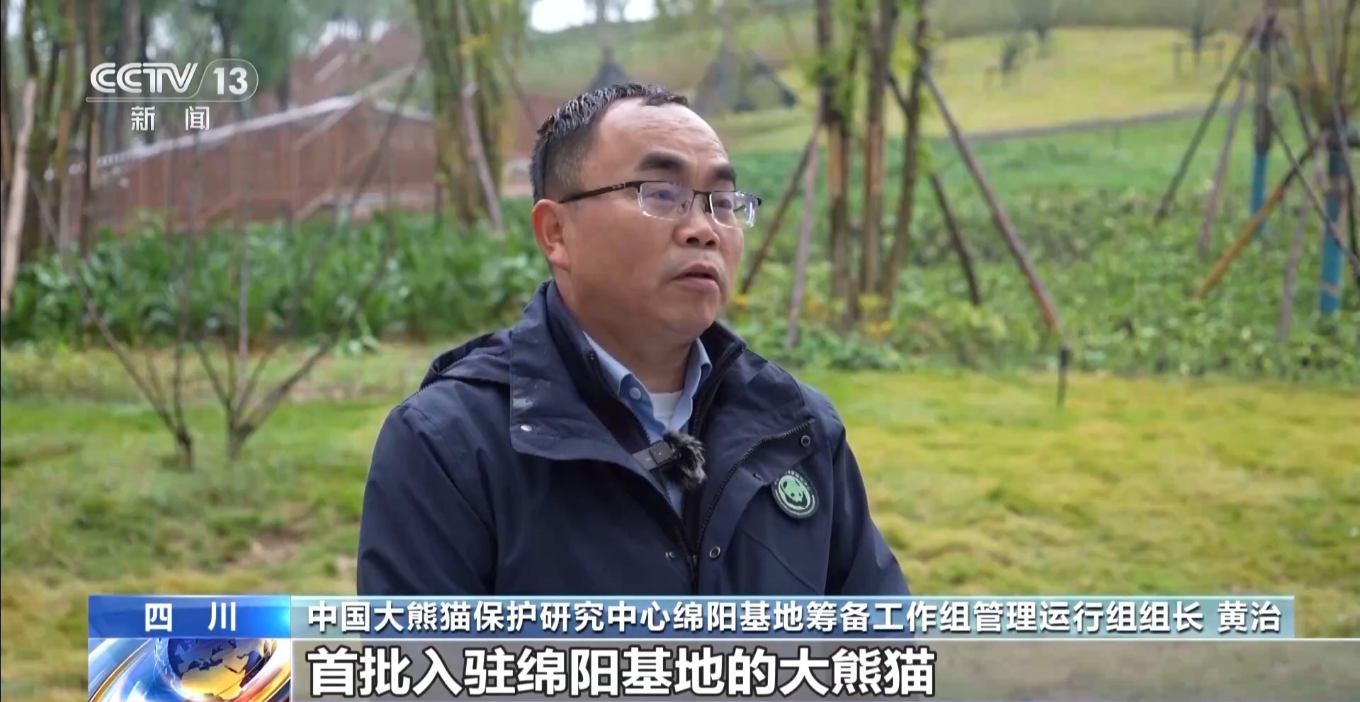 国宝添“新家”！首批13只大熊猫正式入住绵阳基地