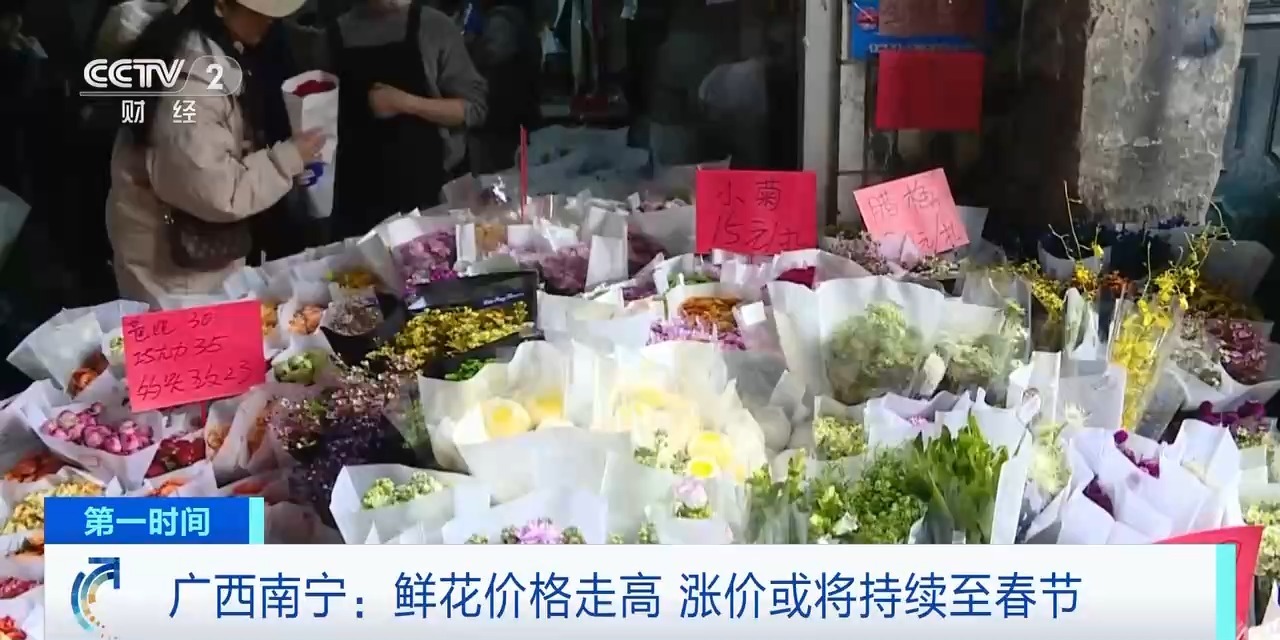 广西南宁：鲜花全线涨价 或将持续至春节！涨价至春原因几何？