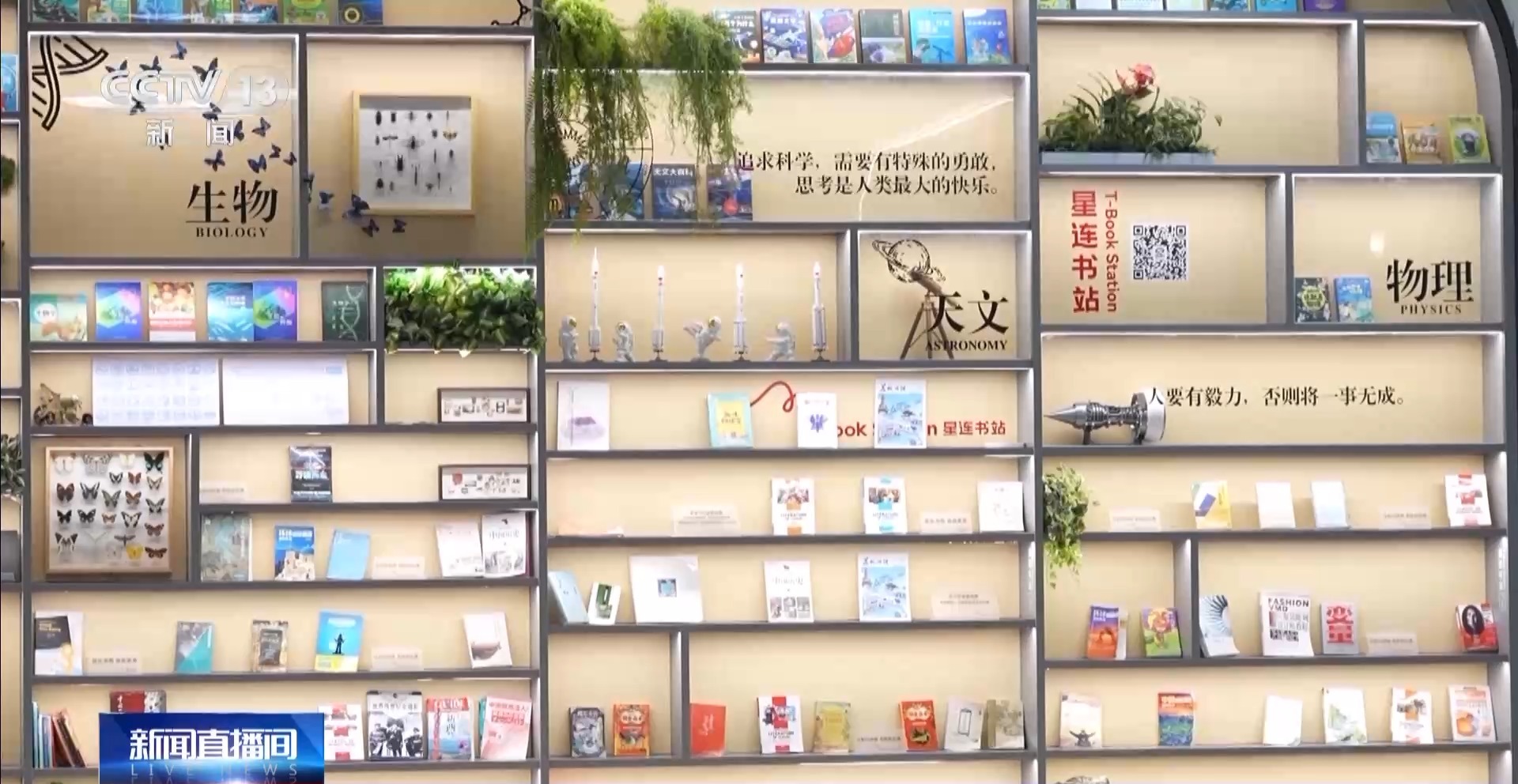 一座难求×报名率超200% 暑期图书馆爆火，N种打开方式别错过