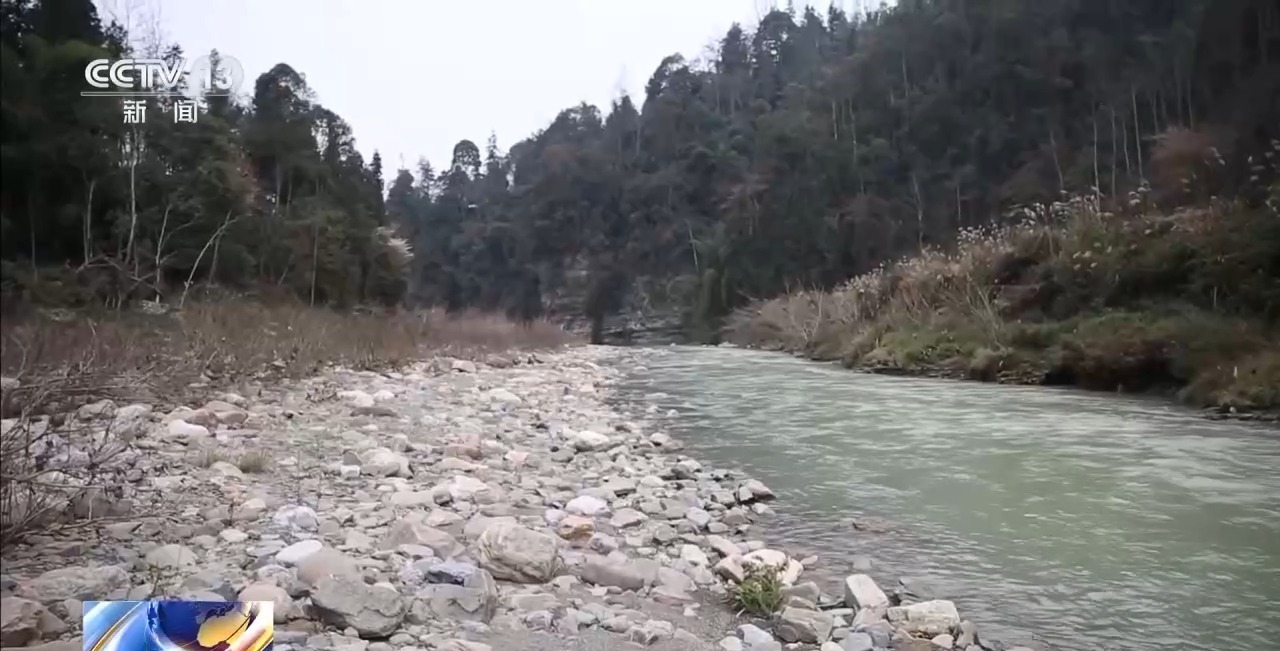吃野草喝河水苦熬6天 78岁阿尔茨海默病老人深山获救