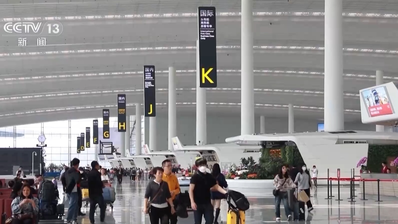 今年，传入的旅行订单同比增长173％，跨境旅行